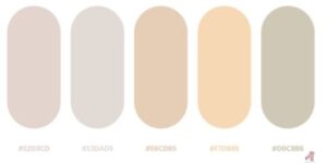 What color is neutral? Understanding the Concept and its Applications