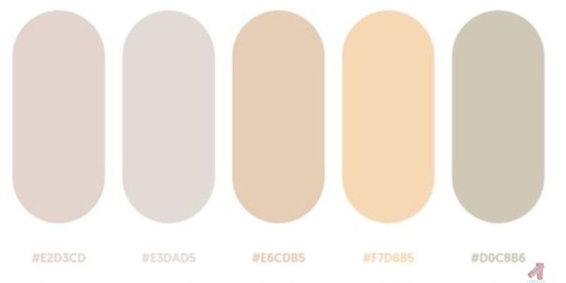 What color is neutral? Understanding the Concept and its Applications